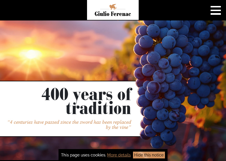 Screenshot for main page of domain giulioferenac.com