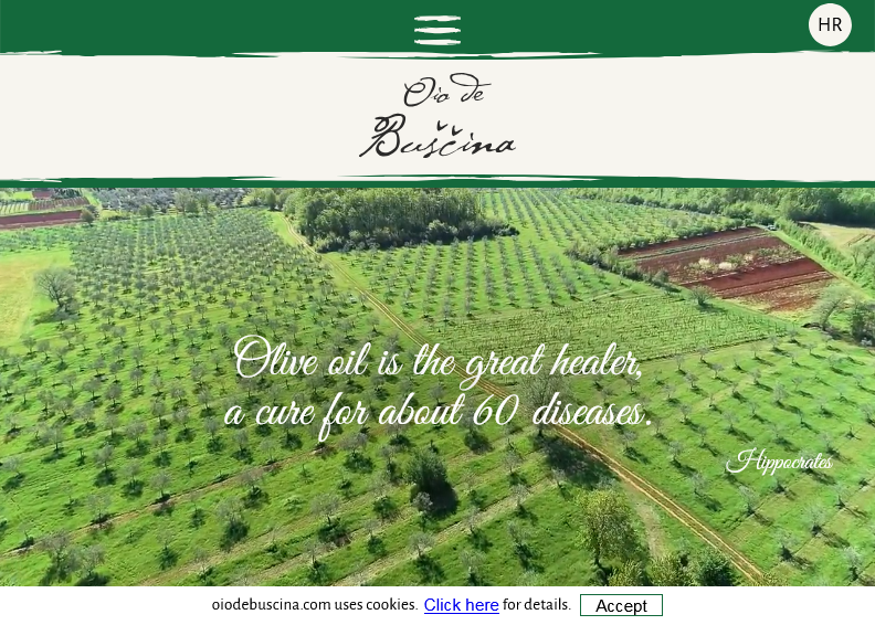 Screenshot for main page of domain oiodebuscina.com